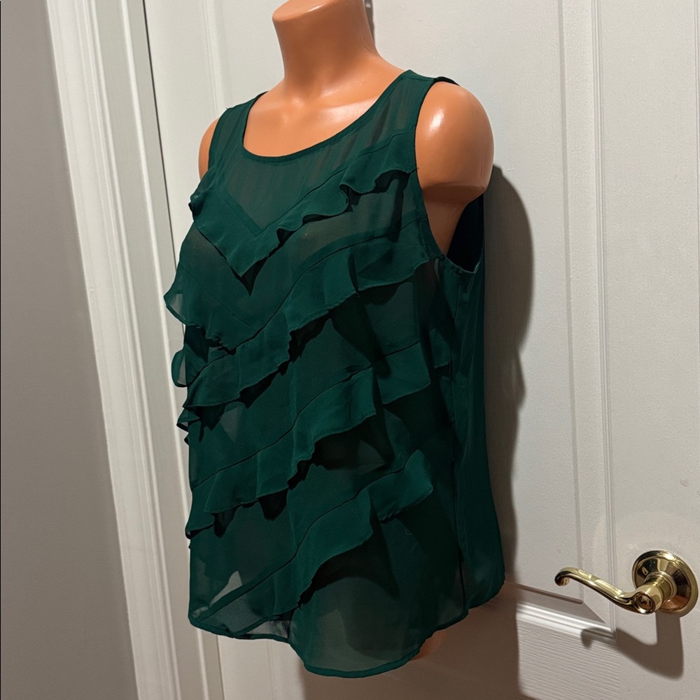 ANN TAYLOR LOFT Wow Sexy Sheer Green Inverted Ruffle Top M Medium KL EUC $78